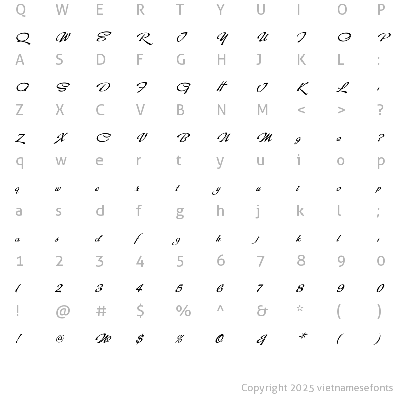 Character Map of UTM Dinh Tran Regular